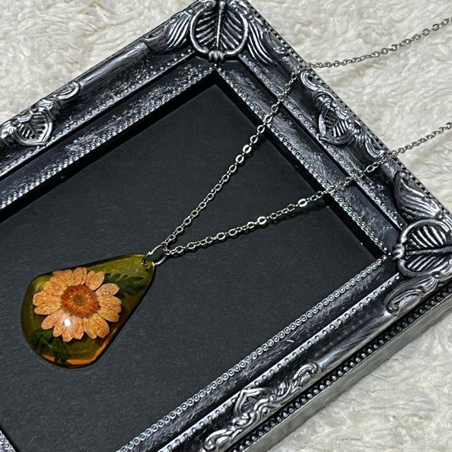 ySALE/Vizt[OlbNX/sN  ANZT[/v 