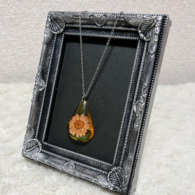 ySALE/Vizt[OlbNX/sN  ANZT[/v 