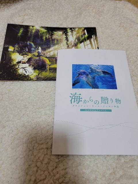 NX`E[XEbZi ʓW Ɂ@mxeB   zr[ 