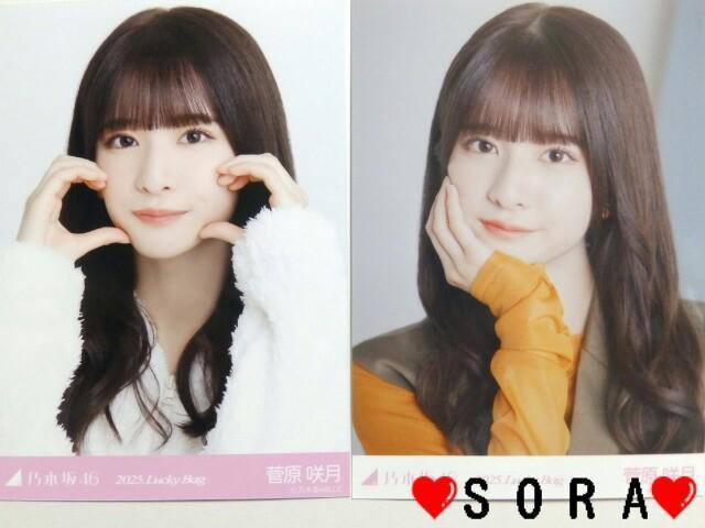 【乃木坂46/菅原咲月】2025年 Lucky Bag ラッキーバッグ福袋♪生写真2枚組セット < タレントグッズ  【乃木坂46/菅原咲月】2025年 Lucky Bag ラッキーバッグ福袋♪生写真2枚組セット  < タレントグッズの