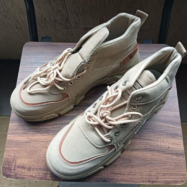 Vi 25.5cm Y jp uE V[Y C JWA 