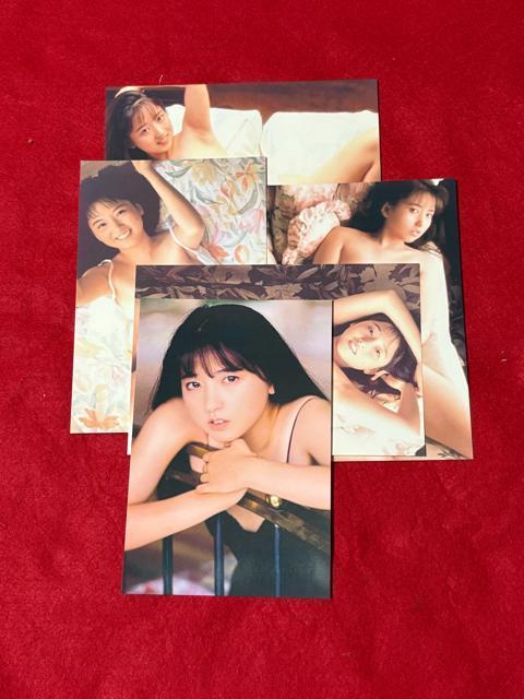 ZNV[D@▃ߎq@|XgJ[h@5@B   ^gObY 