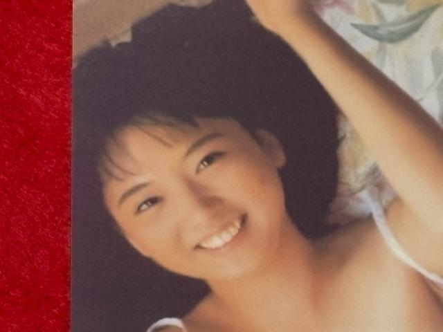 ZNV[D@▃ߎq@|XgJ[h@5@B  ^gObY 