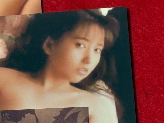 ZNV[D@▃ߎq@|XgJ[h@5@B  ^gObY 