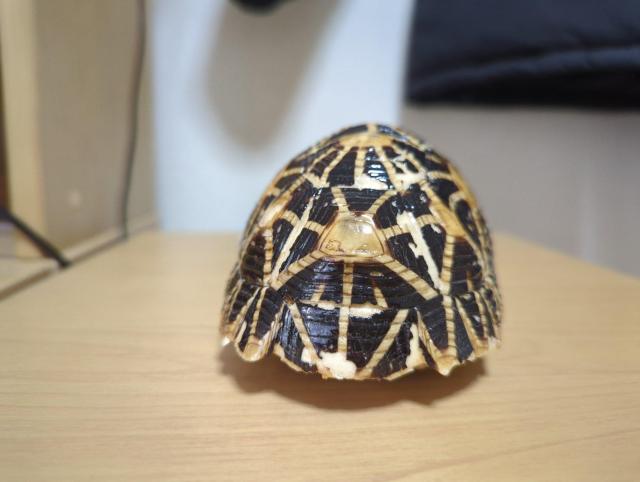 �z�V�K���@�b���@�{�� �� �C���e���A/���C�t�� 