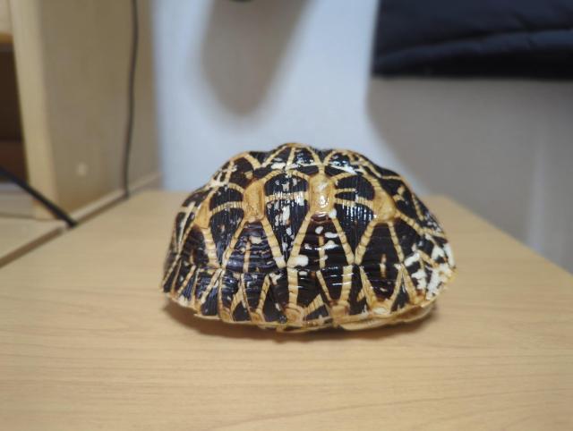 �z�V�K���@�b���@�{�� �� �C���e���A/���C�t�� 