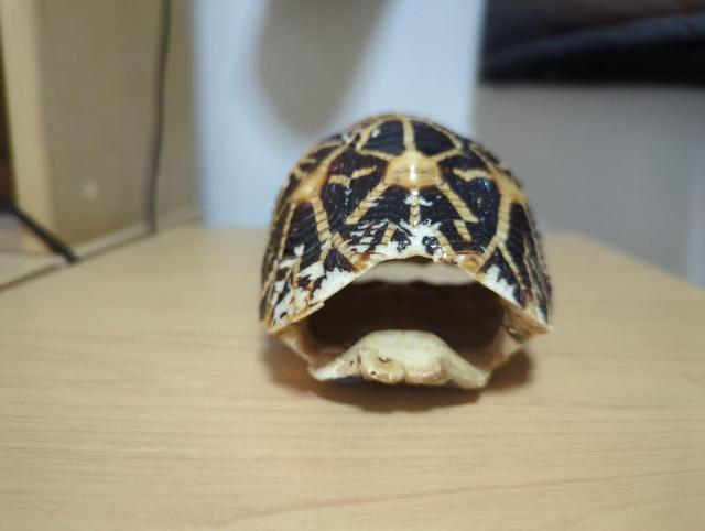 �z�V�K���@�b���@�{�� �� �C���e���A/���C�t�� 