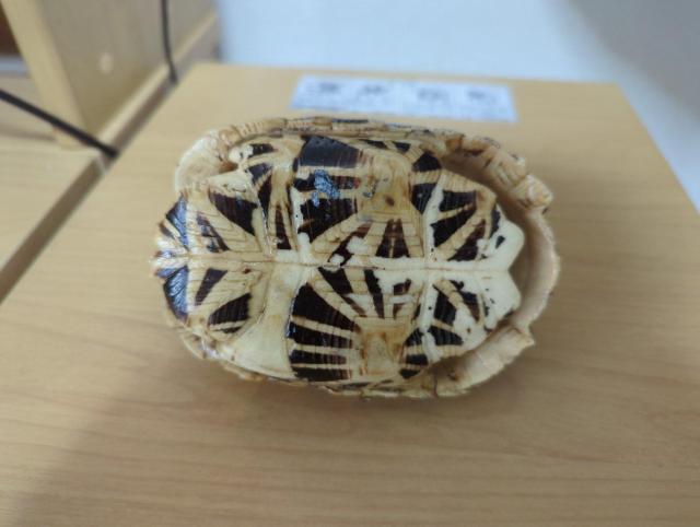 �z�V�K���@�b���@�{�� �� �C���e���A/���C�t�� 