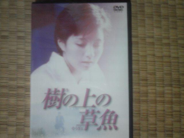 樹の上の草魚 吉本多香美 < CD/DVD/ビデオ  樹の上の草魚 吉本多香美  < CD/DVD/ビデオの