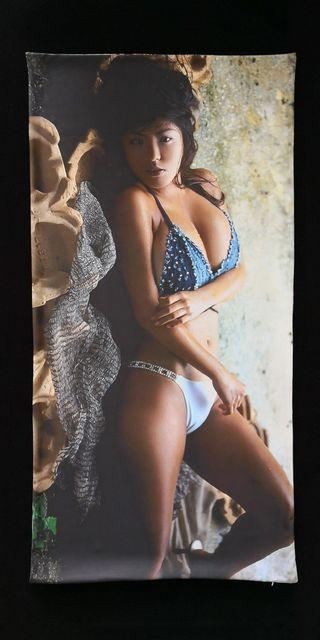 新品☆根本はるみ ☆抱き枕カバーのみ < タレントグッズ 新品☆根本はるみ ☆抱き枕カバーのみ < タレントグッズの