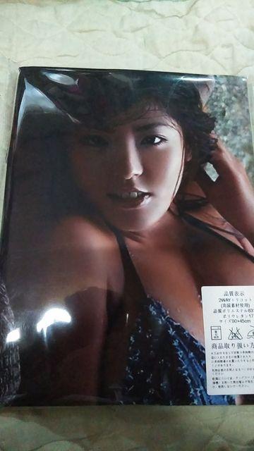 新品☆根本はるみ ☆抱き枕カバーのみ < タレントグッズ 新品☆根本はるみ ☆抱き枕カバーのみ < タレントグッズの