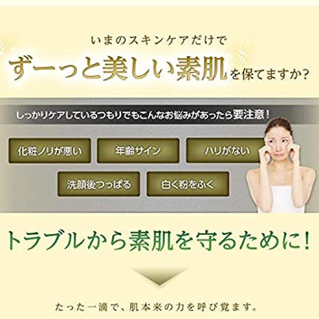 yDHCzXyCYL@͔|I[uʎVR100%I[uo[WIC  uh 