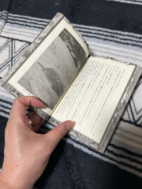 iɖ{/z[jXXIi2Zbgj  {/G 