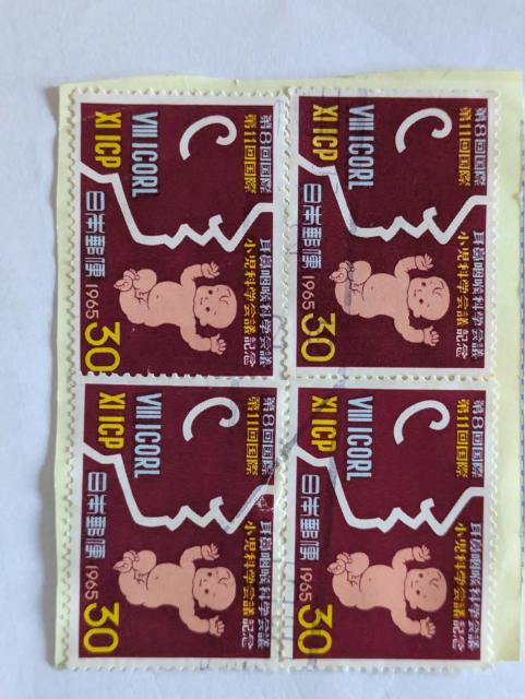 第8回耳鼻咽喉科 < ホビー 第8回耳鼻咽喉科 < ホビーの