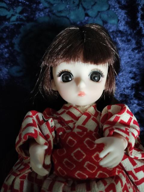 ���{�f�B�h�[���{��&�����Z�b�g�Q�� �� ��������� 