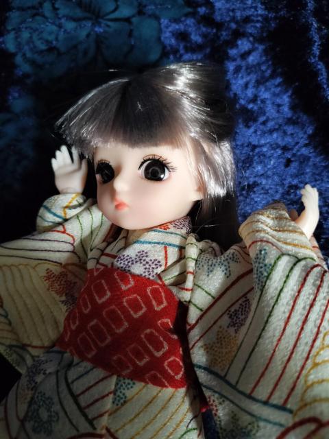 ���{�f�B�h�[���{��&�����Z�b�g�Q�� �� ��������� 