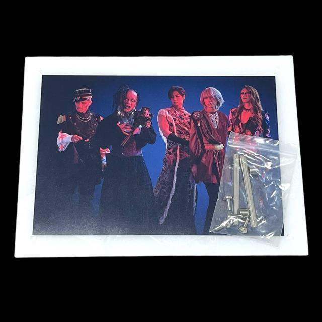 yVi/DIR EN GREYzANDROGYNOS/VIPTANpl  ^gObY 