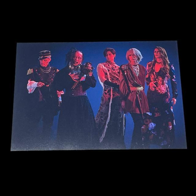 yVi/DIR EN GREYzANDROGYNOS/VIPTANpl  ^gObY 