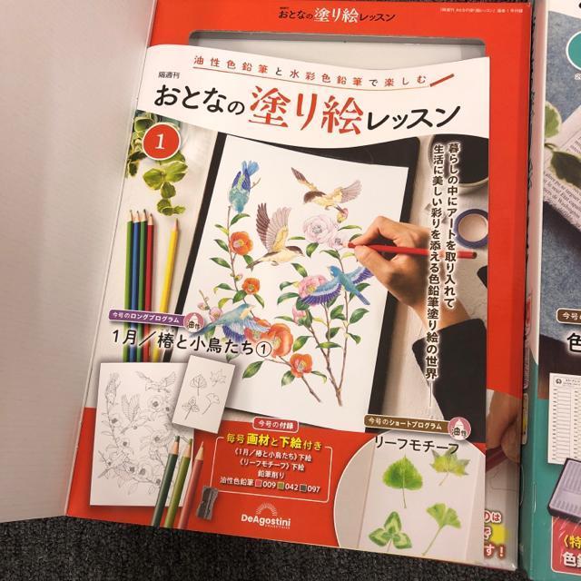 即決 新品 おとなの塗り絵レッスン 2個セット < 本/雑誌  即決 新品 おとなの塗り絵レッスン 2個セット < 本/雑誌の