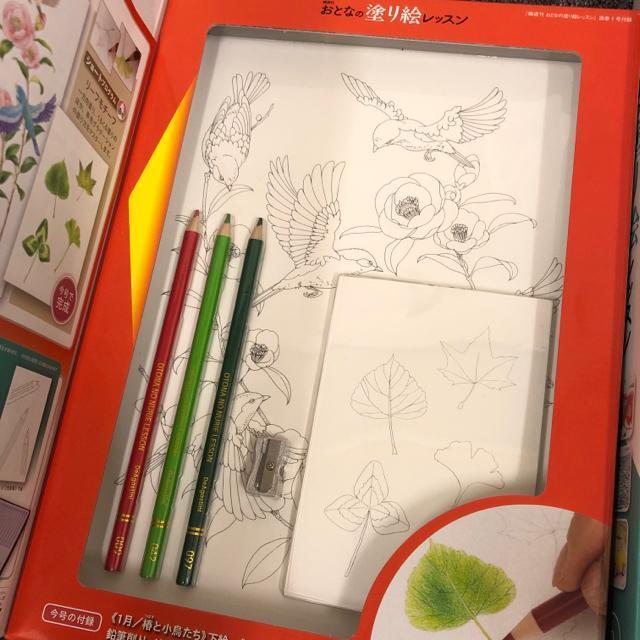 即決 新品 おとなの塗り絵レッスン 2個セット < 本/雑誌  即決 新品 おとなの塗り絵レッスン 2個セット < 本/雑誌の