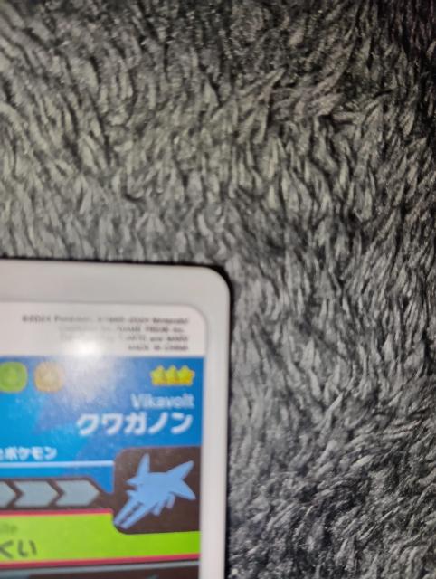 ポケモンフレンダ*クワガノン*未使用 < トレーディングカード ポケモンフレンダ*クワガノン*未使用 < トレーディングカードの