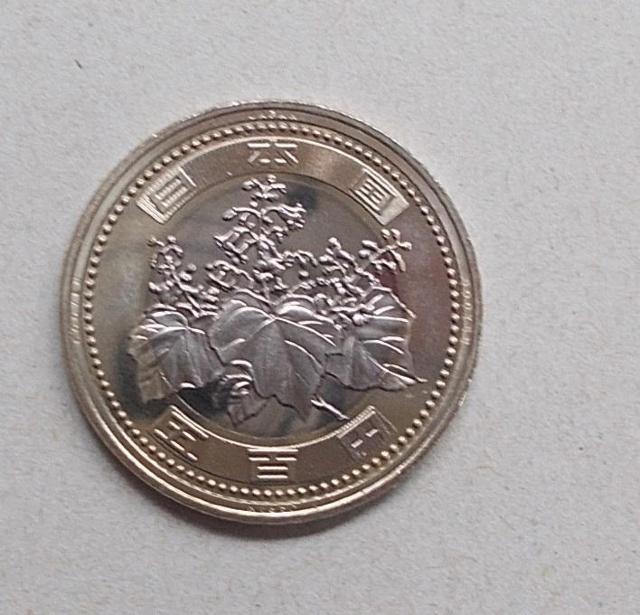 gpߘa3NV500~d݁2021N[o  zr[ 