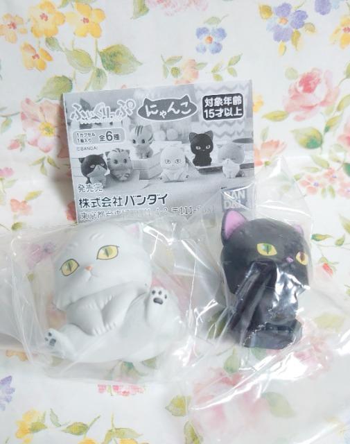 y`OzK`K`wӂՁ@ɂ񂱁xZbg   zr[ 