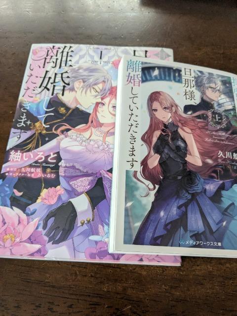 拝啓見知らぬ旦那様、離婚していただきます小説(上)&コミックス1セット  < 本/雑誌  拝啓見知らぬ旦那様、離婚していただきます小説(上)&コミックス1セット   < 本/雑誌の