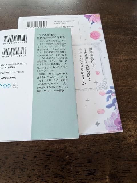 拝啓見知らぬ旦那様、離婚していただきます小説(上)&コミックス1セット  < 本/雑誌  拝啓見知らぬ旦那様、離婚していただきます小説(上)&コミックス1セット  < 本/雑誌の