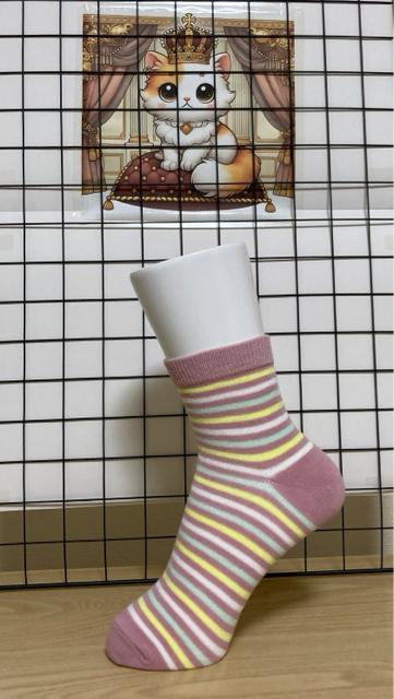 【年間定番】婦人用 綿混 ボーダー柄ソックス 5色セット < 女性ファッション 【年間定番】婦人用 綿混 ボーダー柄ソックス 5色セット < 女性ファッションの