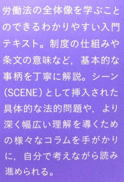 労働法 第2版 有斐閣ストゥディア 単行本 小畑 史子 緒方 桂子 竹内(奥野) 寿(著) 労働法の全体像を学ぶ入門テキスト < 本/雑誌  労働法 第2版 有斐閣ストゥディア 単行本 小畑 史子 緒方 桂子 竹内(奥野) 寿(著) 労働法の全体像を学ぶ入門テキスト < 本/雑誌の