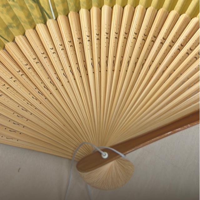 送料無料 扇子新品 < 女性ファッション  送料無料 扇子新品 < 女性ファッションの