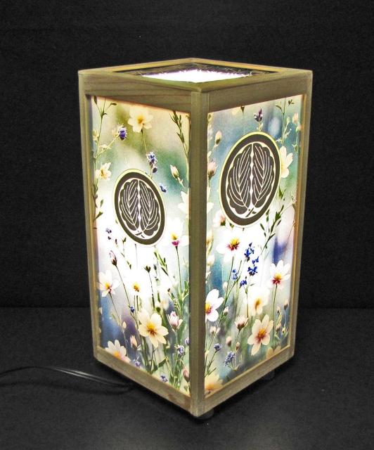 Ɩ̏h؁^Xہuۂɕv^̖ES܂ЂƂƂ^LEDFE~l[gHEwgEyʁ^   Ɠd/AV 