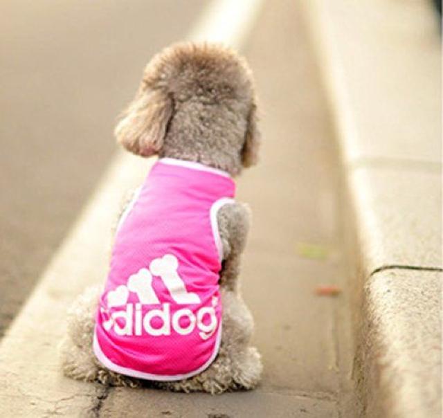 adidog メッシュタンクトップ S ピンク★新品 〜2kg位 < ペット/手芸/園芸  adidog メッシュタンクトップ S ピンク★新品 〜2kg位  < ペット/手芸/園芸の