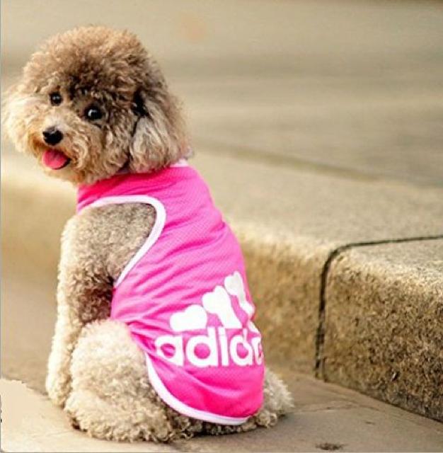 adidog メッシュタンクトップ S ピンク★新品 〜2kg位 < ペット/手芸/園芸  adidog メッシュタンクトップ S ピンク★新品 〜2kg位 < ペット/手芸/園芸の