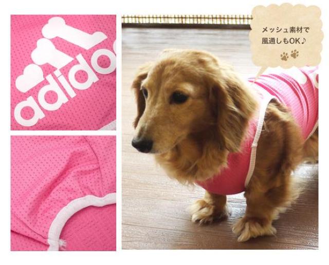adidog メッシュタンクトップ S ピンク★新品 〜2kg位 < ペット/手芸/園芸  adidog メッシュタンクトップ S ピンク★新品 〜2kg位 < ペット/手芸/園芸の