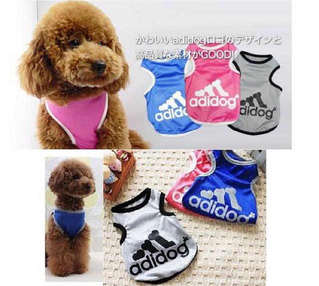 adidog メッシュタンクトップ S ピンク★新品 〜2kg位 < ペット/手芸/園芸  adidog メッシュタンクトップ S ピンク★新品 〜2kg位 < ペット/手芸/園芸の