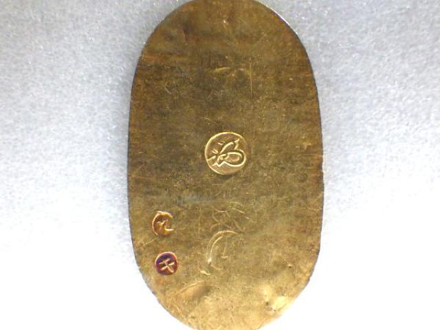  3.3g  L {ݕgӒ菑t  zr[ 