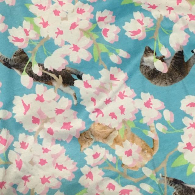 ACDCRAGEL]ʕp[J[vI[o[  uh 