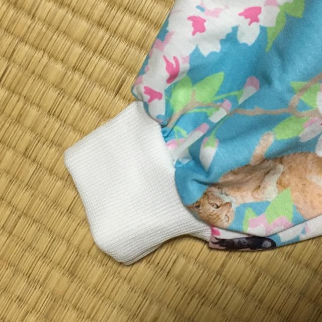 ACDCRAGEL]ʕp[J[vI[o[  uh 