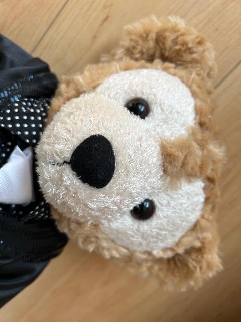 東京ディズニーシー ダッフィ約40cm < おもちゃ 東京ディズニーシー ダッフィ約40cm < おもちゃの