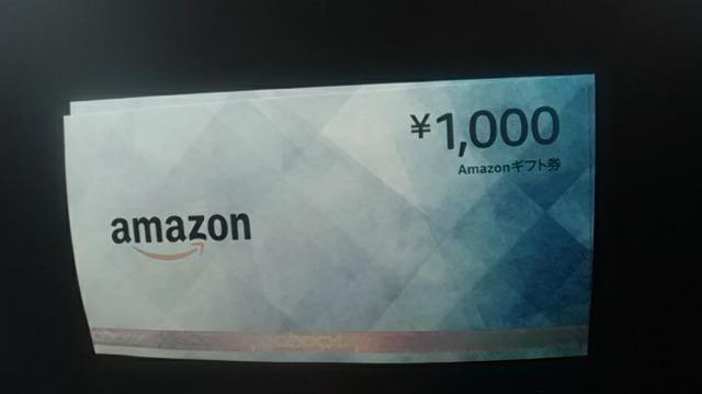 AmazonMtg1000~1Vigpi 