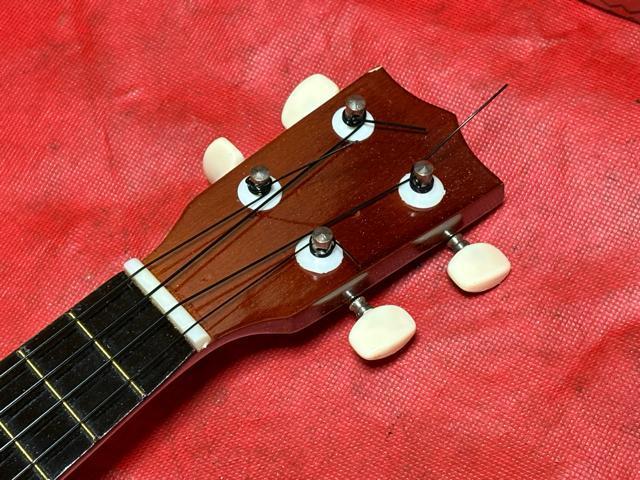 nCyy@EN@P[Xt@i@1922-06-1  zr[ 