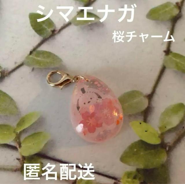 送料無料 シマエナガ 桜チャーム A < 女性ファッション  送料無料 シマエナガ 桜チャーム A  < 女性ファッションの