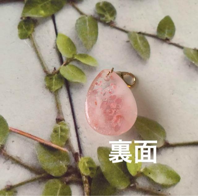 送料無料 シマエナガ 桜チャーム A < 女性ファッション  送料無料 シマエナガ 桜チャーム A < 女性ファッションの