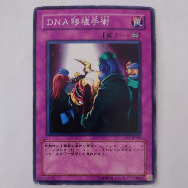 VY@DNAڐAp@m[}   g[fBOJ[h 