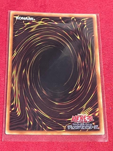 �V�Y���@�I�t�B�V�����J�[�h�Q�[���@�f���G�������X�^�[�Y �� �g���[�f�B���O�J�[�h�� 