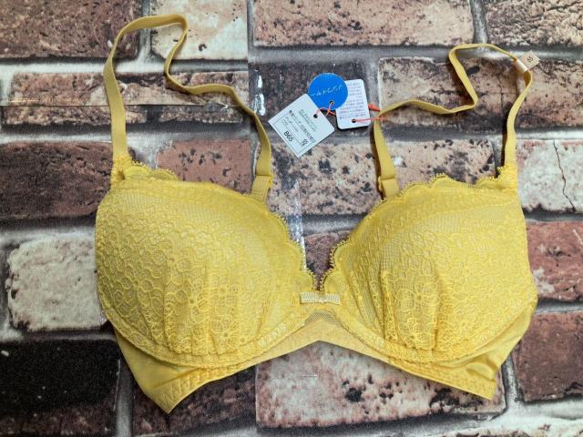 IlCuhIygvzmC[ȑ[XuW[P(CG[)   t@bV 