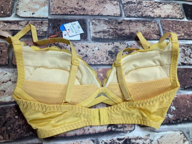 IlCuhIygvzmC[ȑ[XuW[P(CG[)  t@bV 