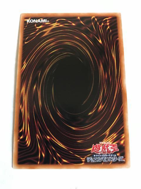 VY RY~bNENF[T[EhS DUNE-JP037 EgA  g[fBOJ[h 